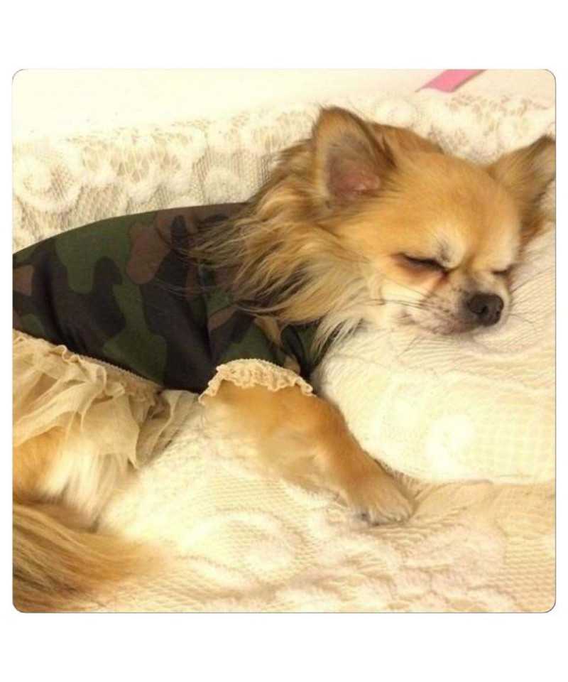 Grace Graciola Lady Camouflage Dress