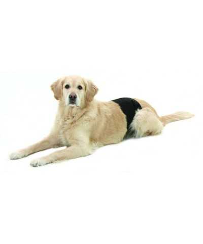 Fascia Igienica Bon Ton Black