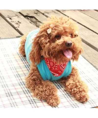 Collare a Bandana