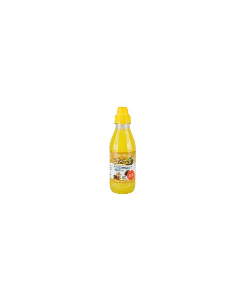Shampoo Zenzero e Sambuco - Igienizzante Iv San Bernard