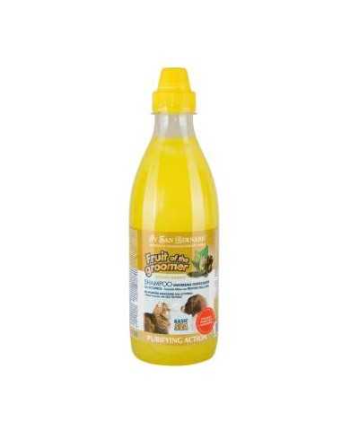 Shampoo Zenzero e Sambuco - Igienizzante Iv San Bernard