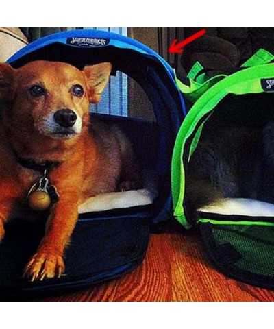 SturdiBag™ Trasportino Pet Carrier