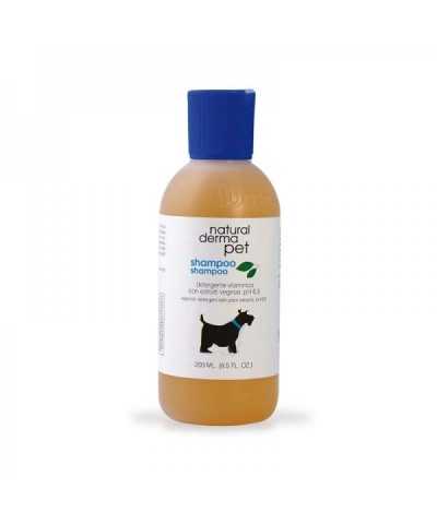 Shampoo Detergente Derbe  