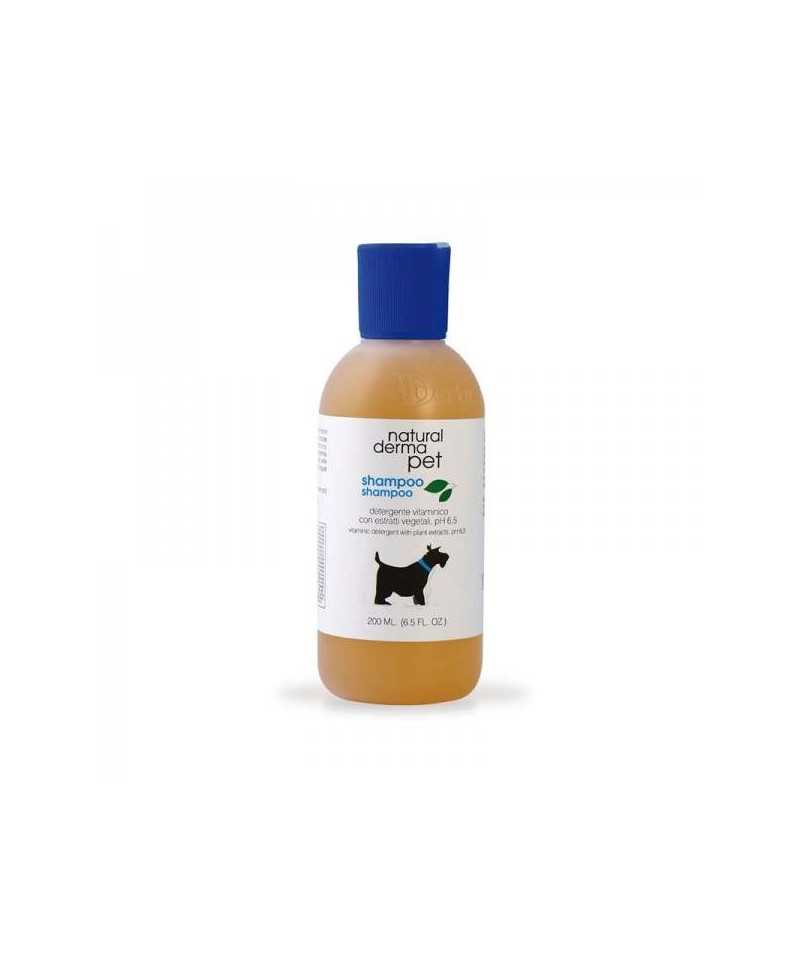 Shampoo Detergente Derbe  