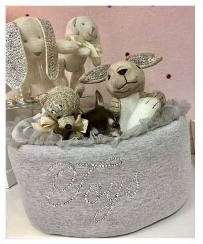 Toys Box Grace Graciola