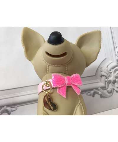 Smile Collar Grace Graciola