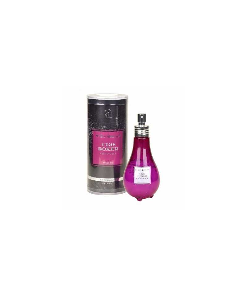 Profumo Ugo Boxer Iv San Bernard