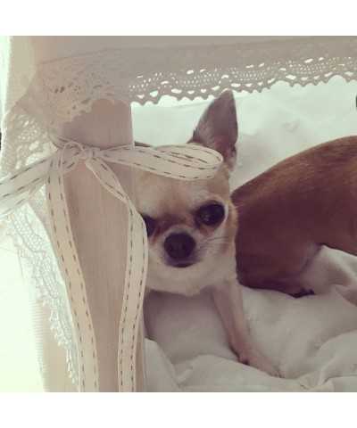 Mini House Grace Graciola