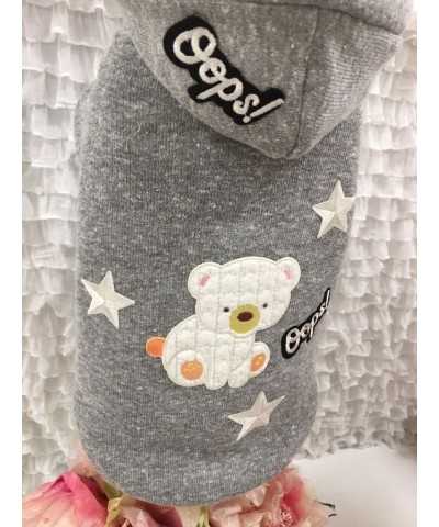 Oops Bear Sweatshirt Grace Graciola