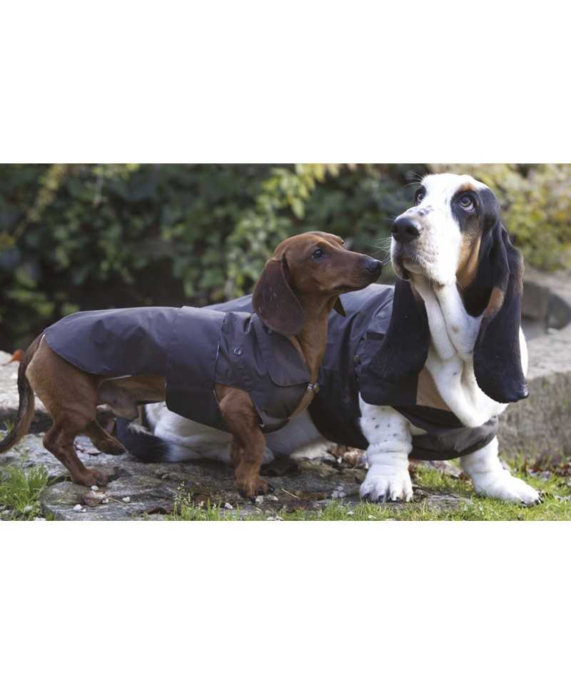 Giubbotto Imbottito Daily Revolution Dachshund