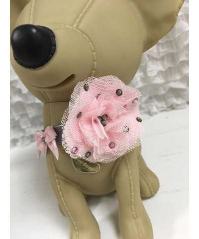 Very Lovely Collar Grace Graciola