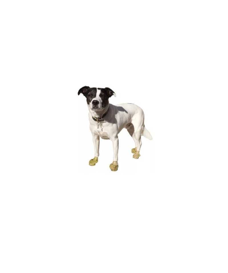 Calzini in Gomma Pawz Camo