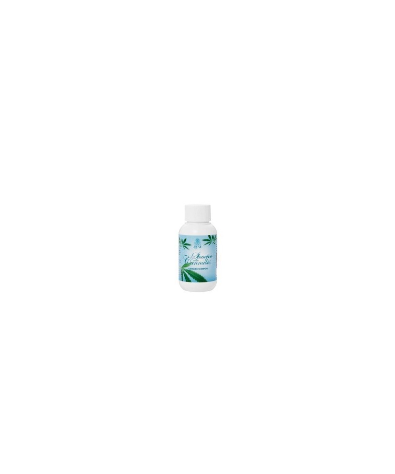 Shampoo Alla Cannabis Baldecchi