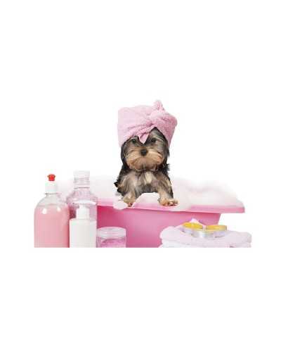 Kit Bagno e Mantenimento Personalizzato