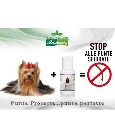 Punte protette Iole Baldecchi