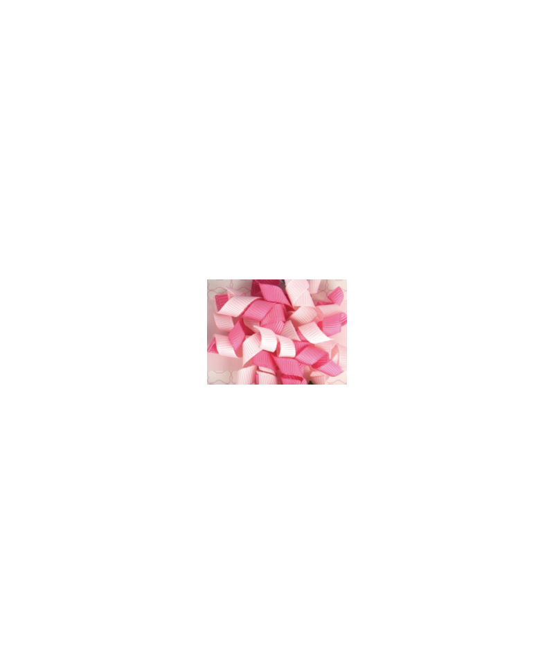 Fermaglio Curly Bows
