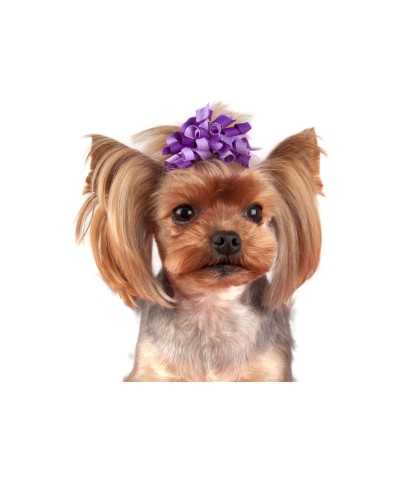 Fermaglio Curly Bows