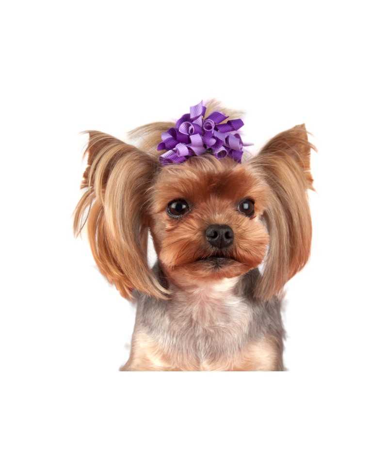 Fermaglio Curly Bows
