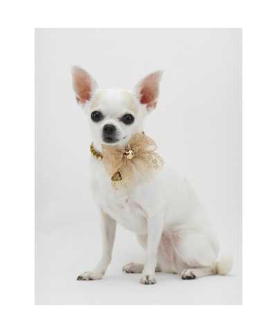 DIAMONDS LACE COLLAR ROSE GOLD ECOLEATHER/GOLD Piccoli Pets