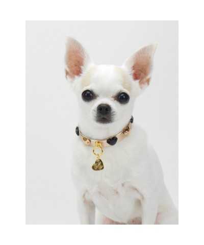 HEARTS COLLAR ROSE GOLD ECOLEATHER/GOLD Piccoli Pets