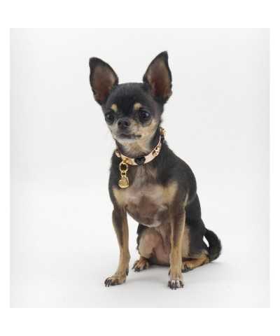 HEARTS COLLAR ROSE GOLD ECOLEATHER/GOLD Piccoli Pets