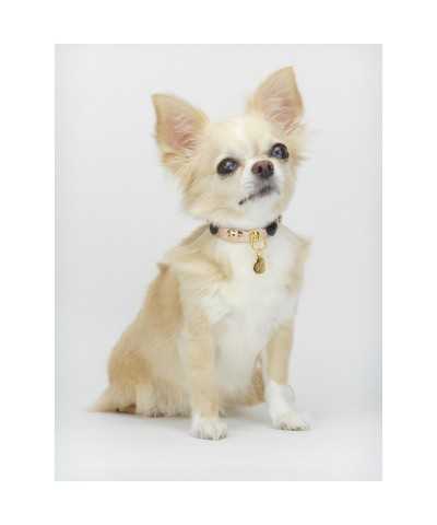 HEARTS COLLAR ROSE GOLD ECOLEATHER/GOLD Piccoli Pets