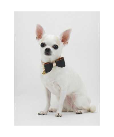 PAPILLON COLLAR ROSE GOLD ECOLEATHER/GOLD Piccoli Pets