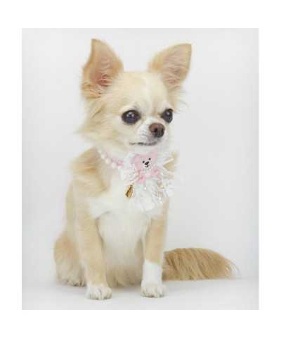 PEARLESCENT TEDDY COLLAR BABY PINK ECOPATENT/GOLD Piccoli Pets