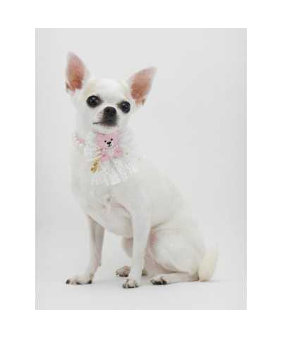 PEARLESCENT TEDDY COLLAR BABY PINK ECOPATENT/GOLD Piccoli Pets