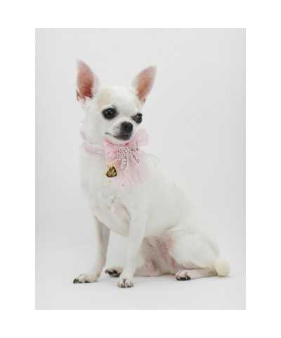 PRECIOUS BOW COLLAR BABY PINK ECOPATENT/GOLD Piccoli Pets