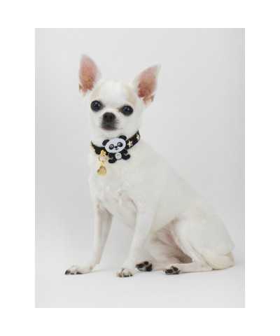PANDA STAR COLLAR BLACK ALCANTARA/GOLD Piccoli Pets