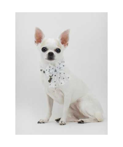 LADY PEARLS COLLAR WHITE ECOPATENT/GUNMETAL Piccoli Pets