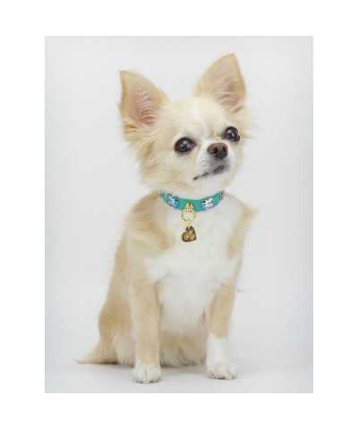 HEARTS COLLAR EMERALD ECOPATENT/GOLD Piccoli Pets
