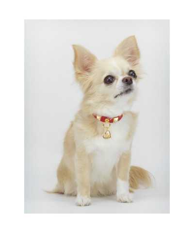 STUD COLLAR RED ECOLEATHER/GOLD Piccoli Pets