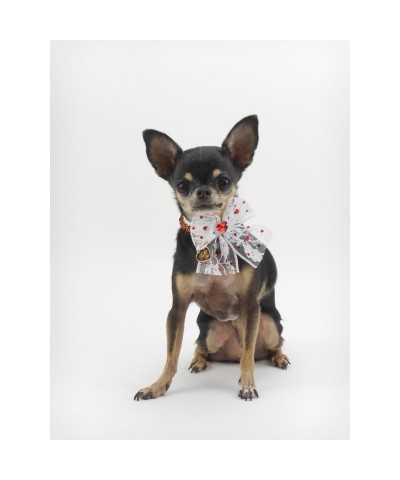 DIAMONDS LACE COLLAR WHITE ECOPATENT/GOLD Piccoli Pets