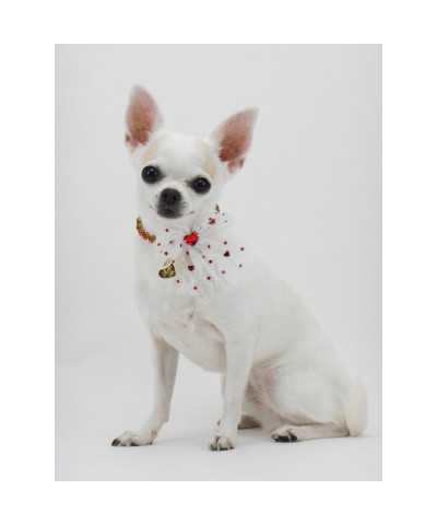 DIAMONDS LACE COLLAR WHITE ECOPATENT/GOLD Piccoli Pets
