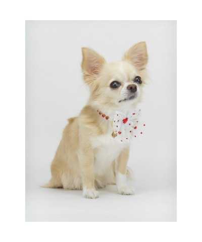DIAMONDS LACE COLLAR WHITE ECOPATENT/GOLD Piccoli Pets