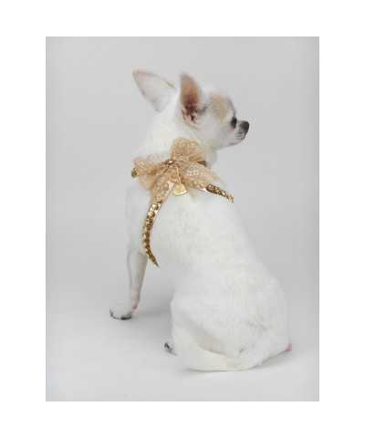 DIAMONDS LACE HARNESS ROSE GOLD ECOLEATHER/GOLD Piccoli Pets