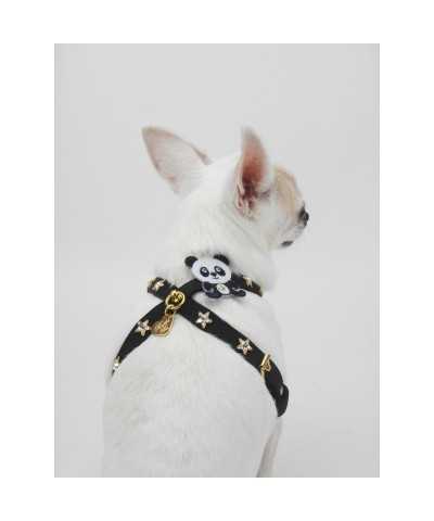 PANDA STAR HARNESS BLACK ALCANTARA/GOLD Piccoli Pets