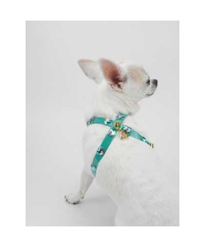 HEARTS HARNESS EMERALD ECOPATENT/GOLD Piccoli Pets