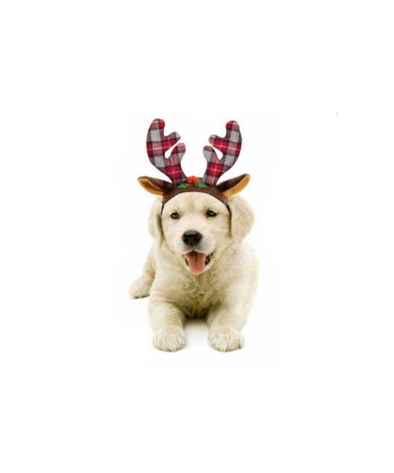 Cappellino Natale Renna
