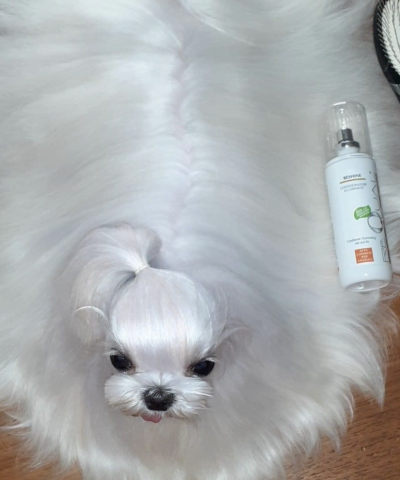 Re-Shine Condizionatore Ristrutturante Lucidante Requal