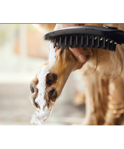 Doccetta per cane Dogshower