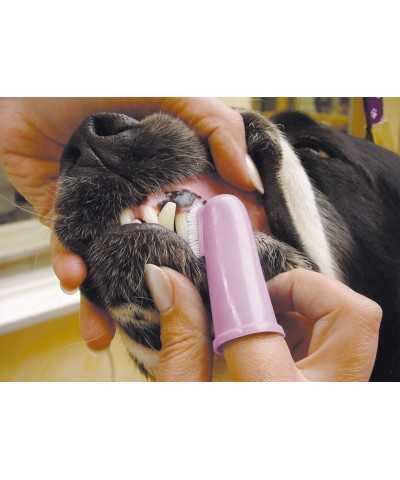 Spazzolino Show Tech Oral Hygiene Kit Teeth Cleaning