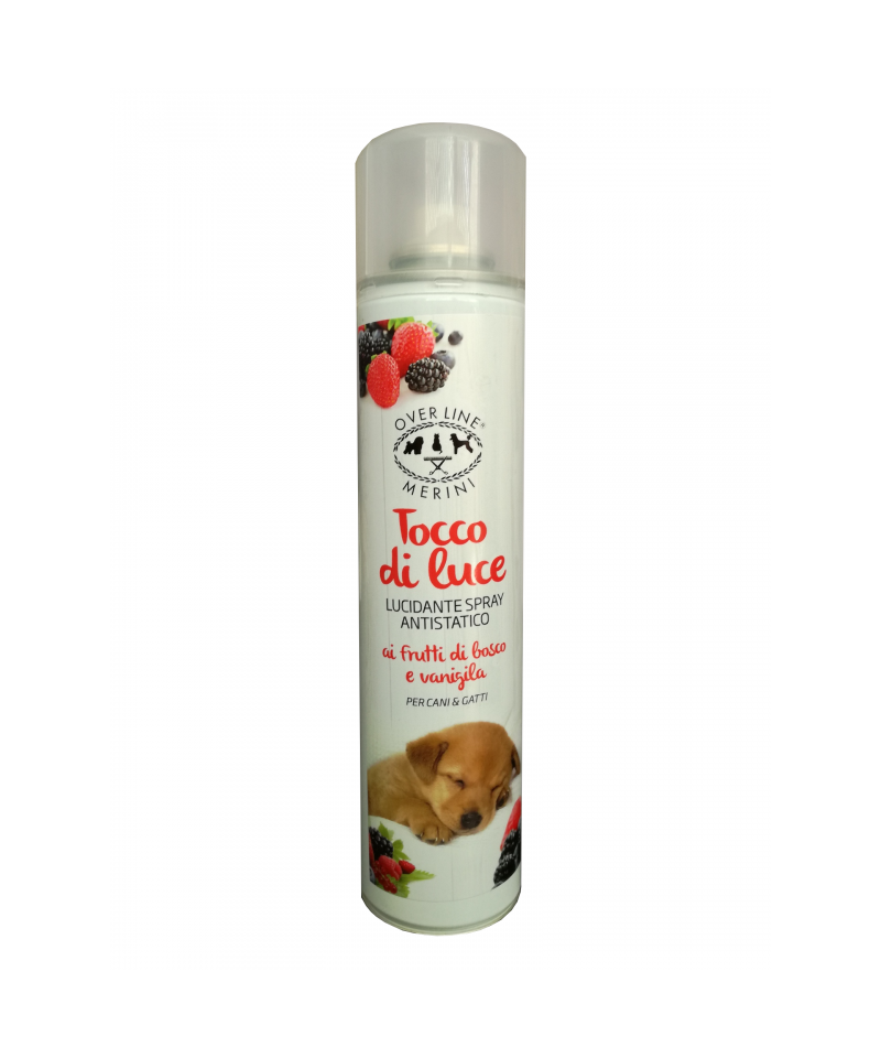 Tocco di Luce Lucidante spray Overline Merini
