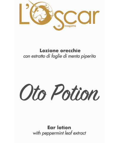 Salviette Detergenti Oto Wipe Derbe