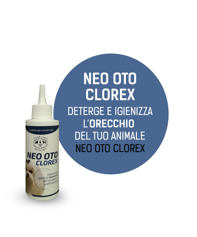 Neo Oto Clorex  Overline Merini