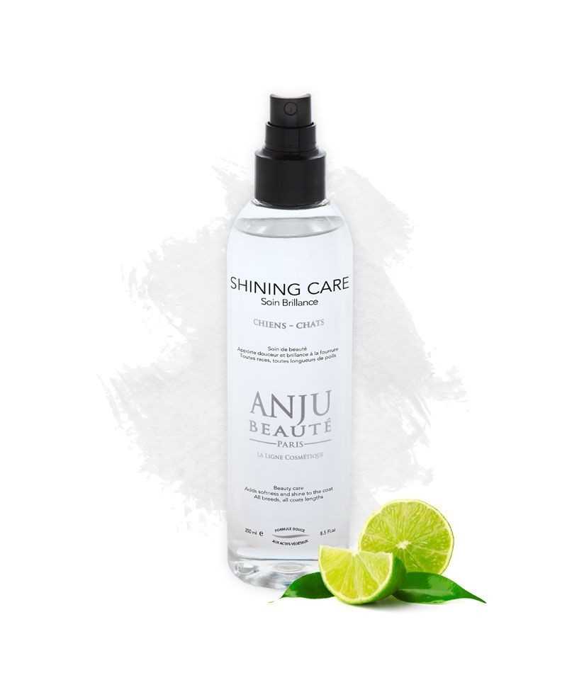 Anju Beautè Spray Lucidante Shining