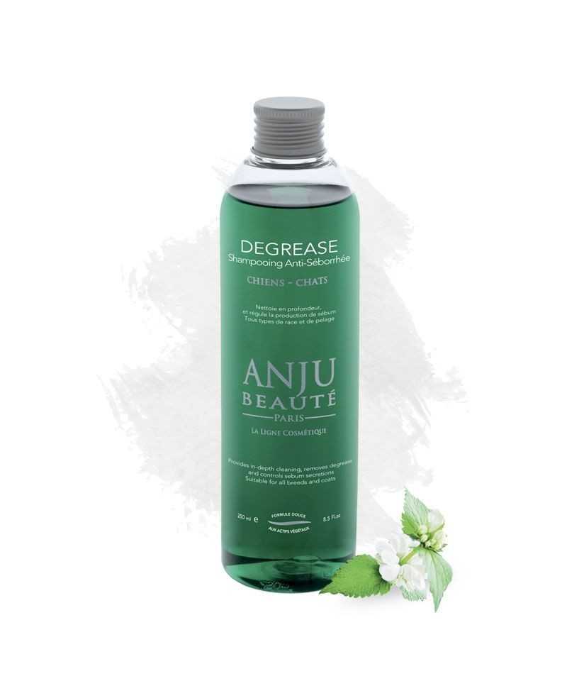 Anju Beautè Shampoo per Cute Grassa Degrease