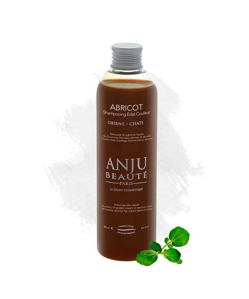 Anju Beautè Shampoo per Manti Dorati Abricot